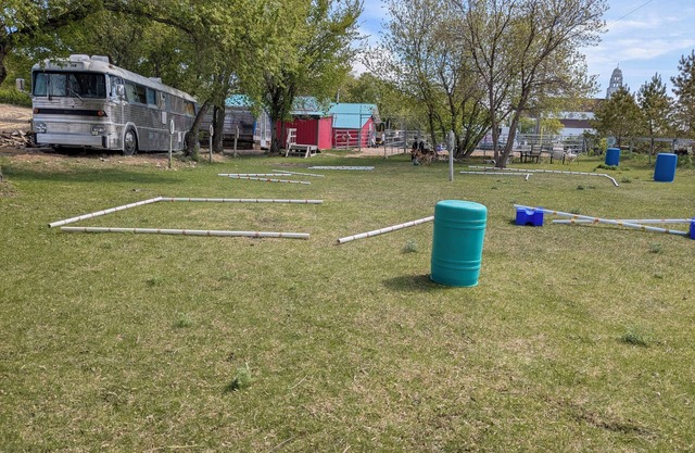 Grayhound RV bus at Vicki's EAL and Photography. Equine assistant learning.