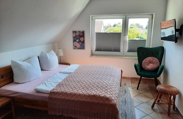 Great 1-room apartment with a garden near the port