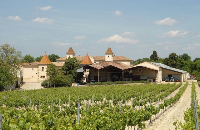 Gran casa en el corazón del viñedo.