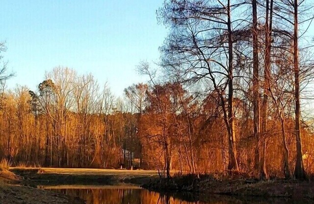 Great location. covered patio/5 minutes away from restaurants stores boat launch