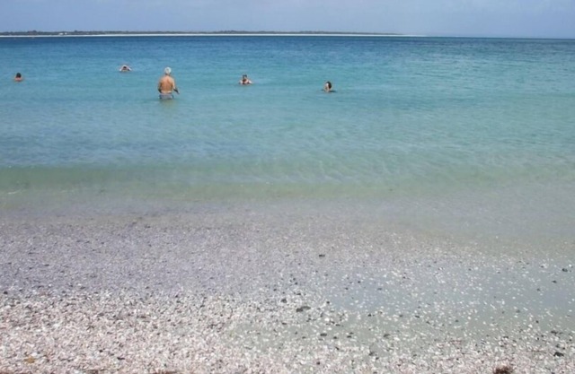 gran rangiputa bach