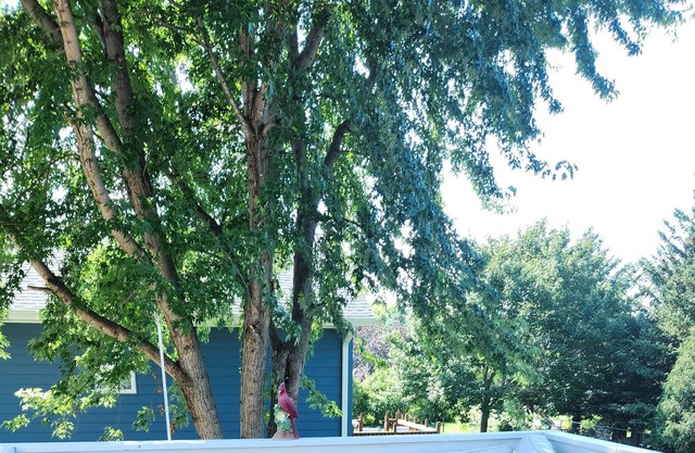 Great small town living just 15 minutes to shopping mall