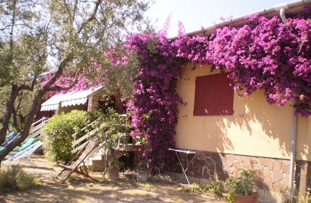 Apartamento VERDE inmerso en el olivar