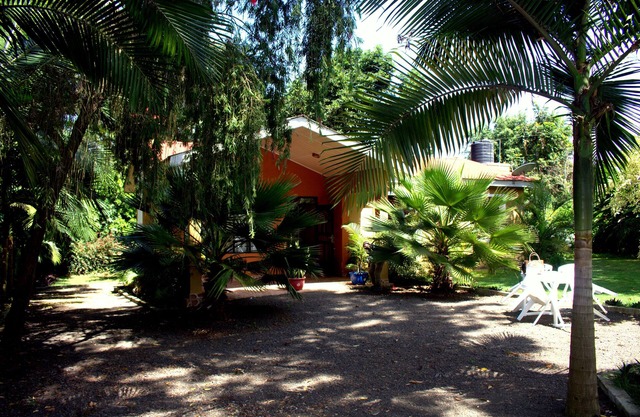 Green Dreams Home