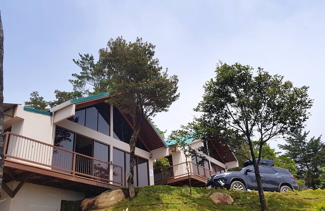 Green Forest Vacations Homes
