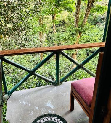 Green Heaven