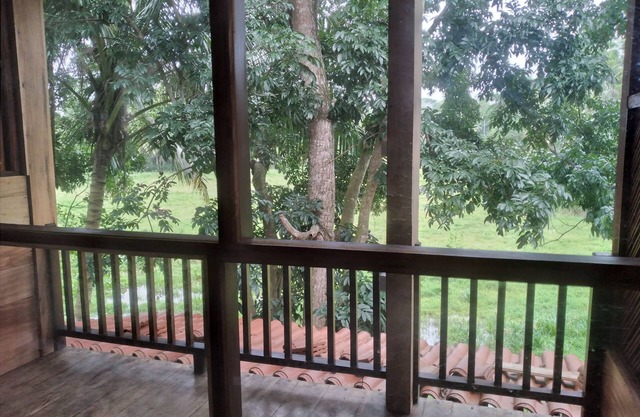 Green Herbal Ayurvedic Eco-Chalets