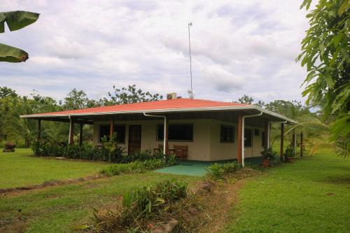Green House