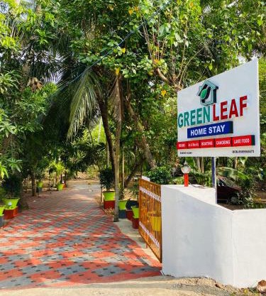 Green Leaf Munroe