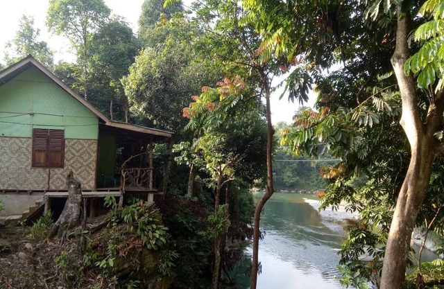 Green Lodge Tangkahan