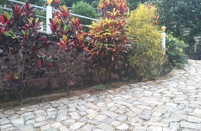 Green Mount Residency