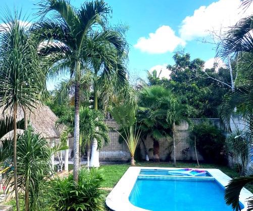 GREEN PARADISE LEONA VICARIO