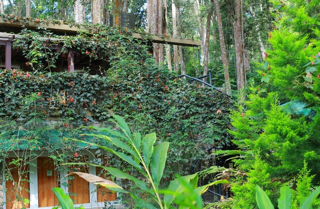 Green Spaces Munnar