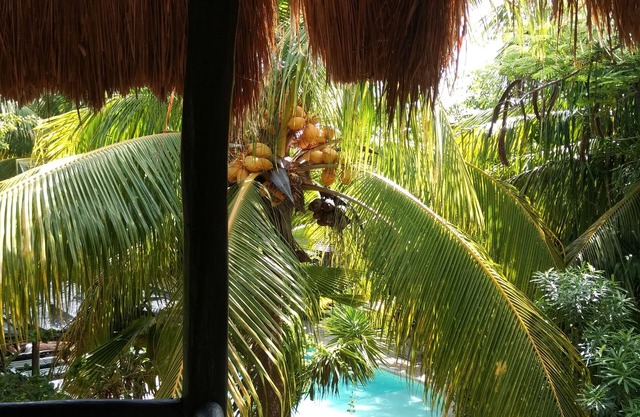 Green Tulum