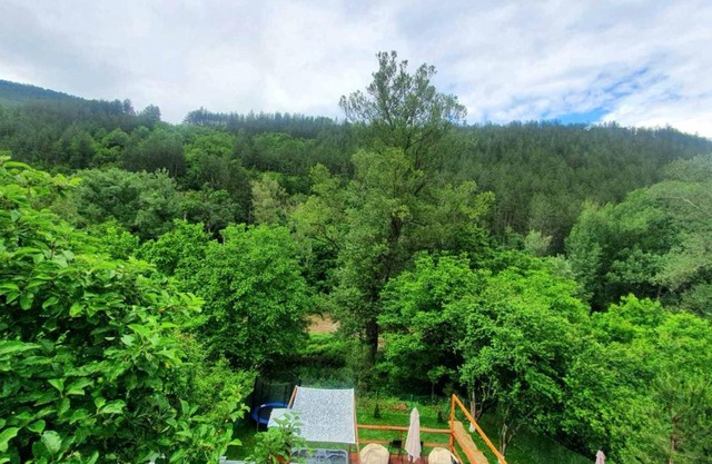Green View 1