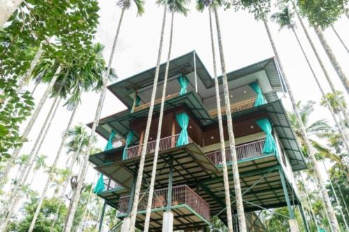 GreensVista Wayanad AC Pillar Homestay near Natural Stream and Amazing View