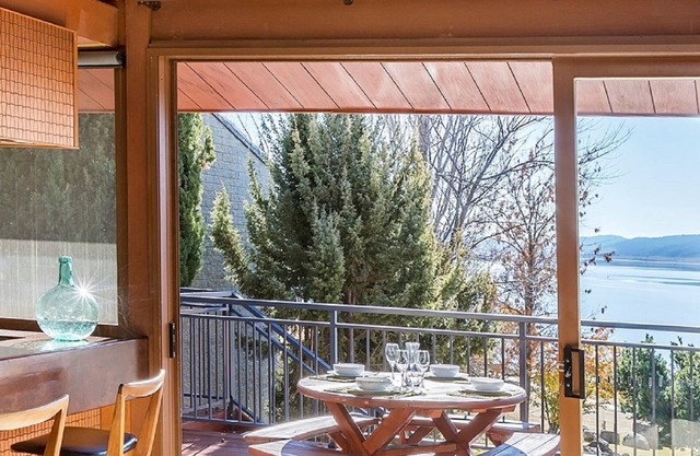 Canguro gris en la orilla del lago Jindabyne