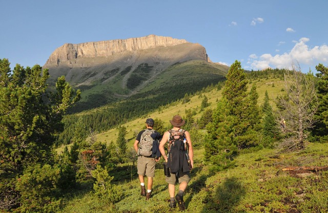 Armonía en el paraíso - Suite Grizzly en Rocky Mountain Front - cómoda