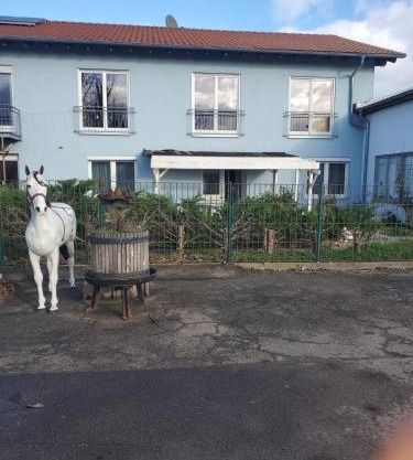 Große 3 Zi Wohnung auf der Pferde Farm