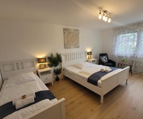 Große,Schöne FeWo nähe Schwetzingen-Hockenheim 3 Zimmer mit Balkon