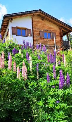 grosses Ferienhaus mit Sauna im Skigeb. Obersaxen