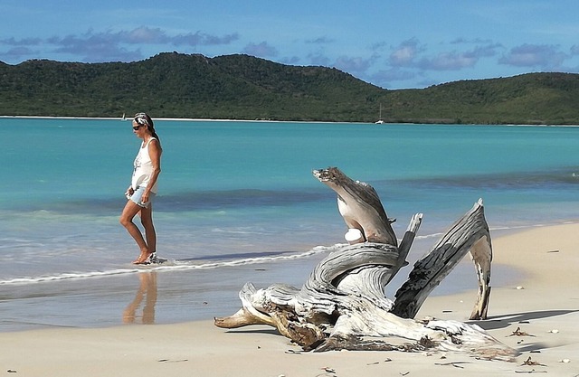 Guadalupe navegando