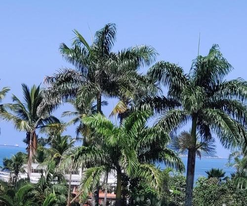 Guarujá - Praia da Enseada - 200 metros da praia - Apartamento inteiro