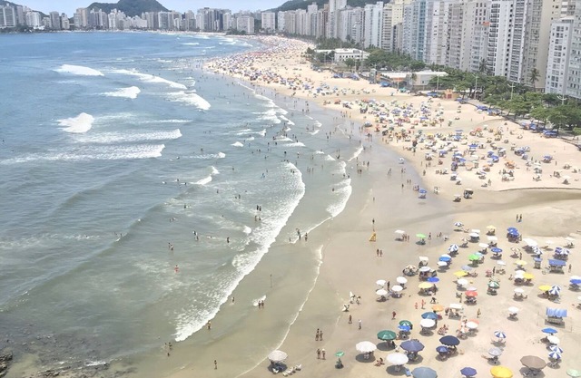 Guaruja, Pitangueiras standing in the sand