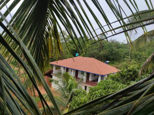 Gubbikanta Homestay