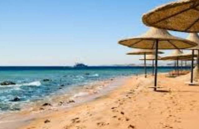Guest house 5 en sharm el sheikh directamente en la piscina
