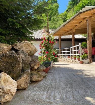 Guest House BOZVILL