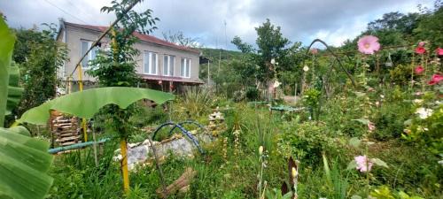 Guest House David