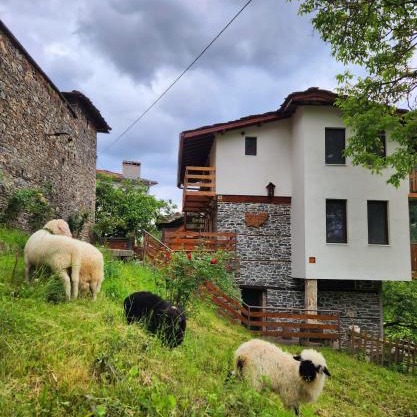 GUEST HOUSE ELENA