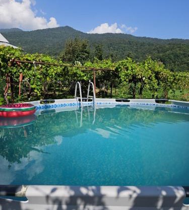 Guest house Lagodehki