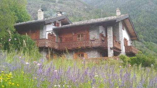 GUEST HOUSE SOPHIE - Chambres d'Hotes -CIR 0196
