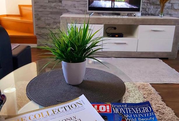 Guest house Vlahovic
