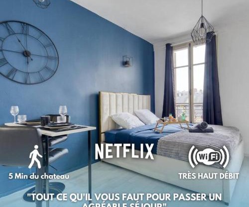 Guest loc-Le Saphir-3min château