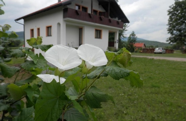 Guesthouse Matija