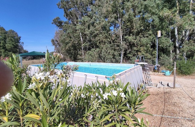 Bed & Breakfast Pintadera