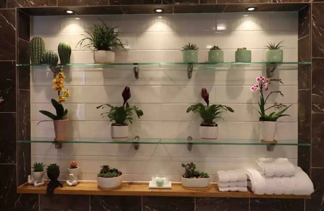 Guests Studio