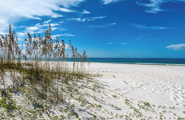 Gulf Front in Seagrove ~ Amazing Views