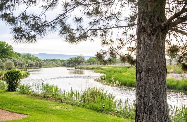 Gunnison River View! Relax and Experience True Nature Right Outside Your Door