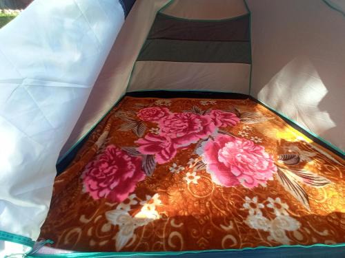 Gurez camping