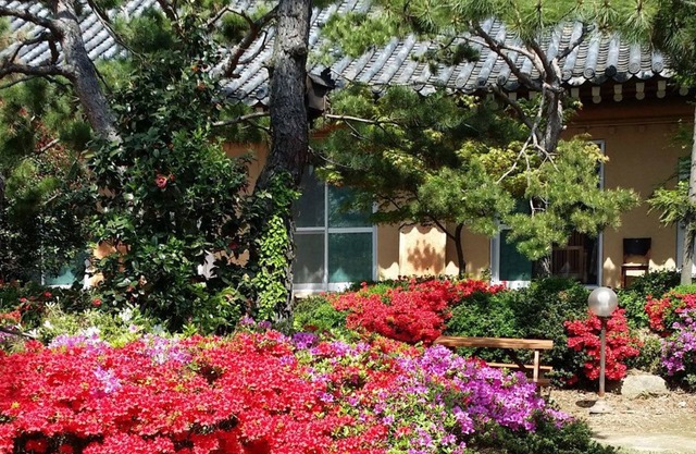 Gyeongju KB Pension