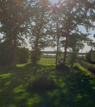 Härlig stuga vid havet