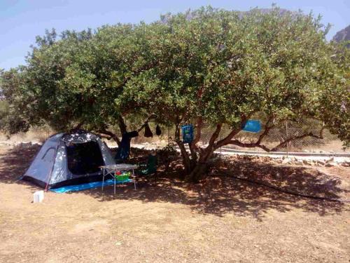 HA Camp