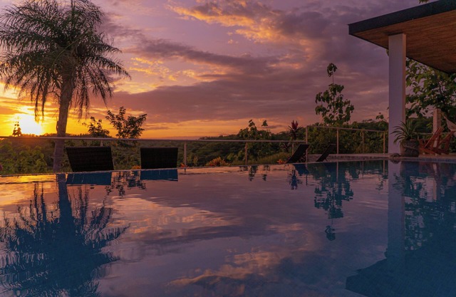 Hacienda Estrellas, contemporánea selva houe