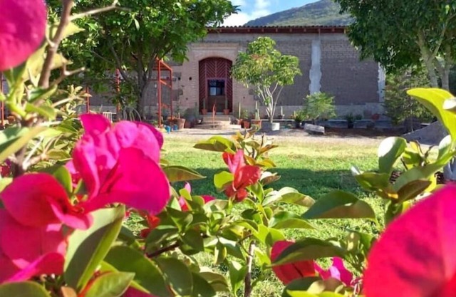 Ex-Hacienda Don Pedrillo.