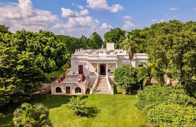 Hacienda Oxta, Paraíso Privado de Calma afuera de Merida, Plantación de Cocos