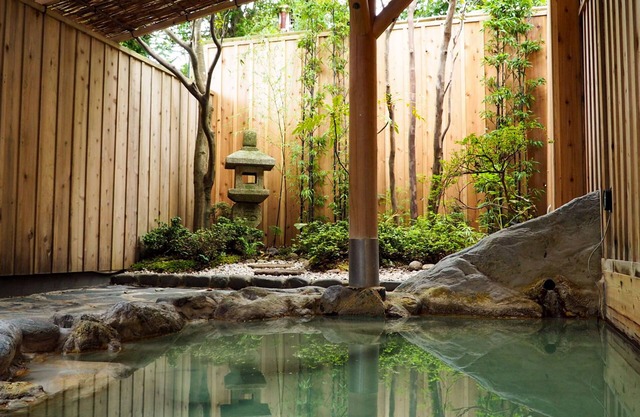 Hakone Onsen Yuyado Yamanosyou
